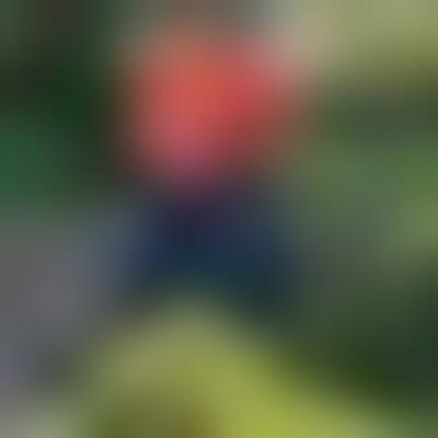 Profilbild eines 63 Jahre alten Manns, Single, 178 cm