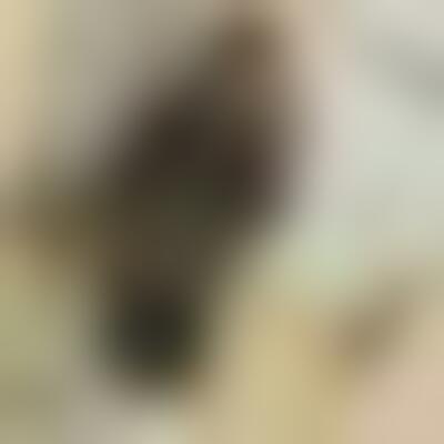 Profilbild einer 31 Jahre alten Frau, Single, 167 cm