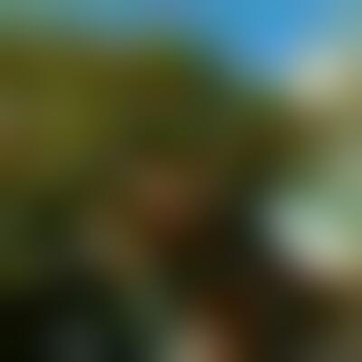 Profilbild eines 30 Jahre alten Manns, Single, 189 cm